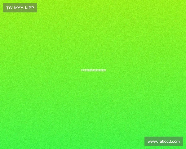 10来万家用车,就是要便宜又够大